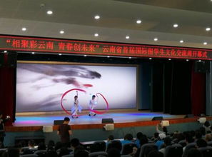 彩云之南喜迎五洲客，多元文化共繪同心圓——云南省首屆國際留學生文化交流周開幕